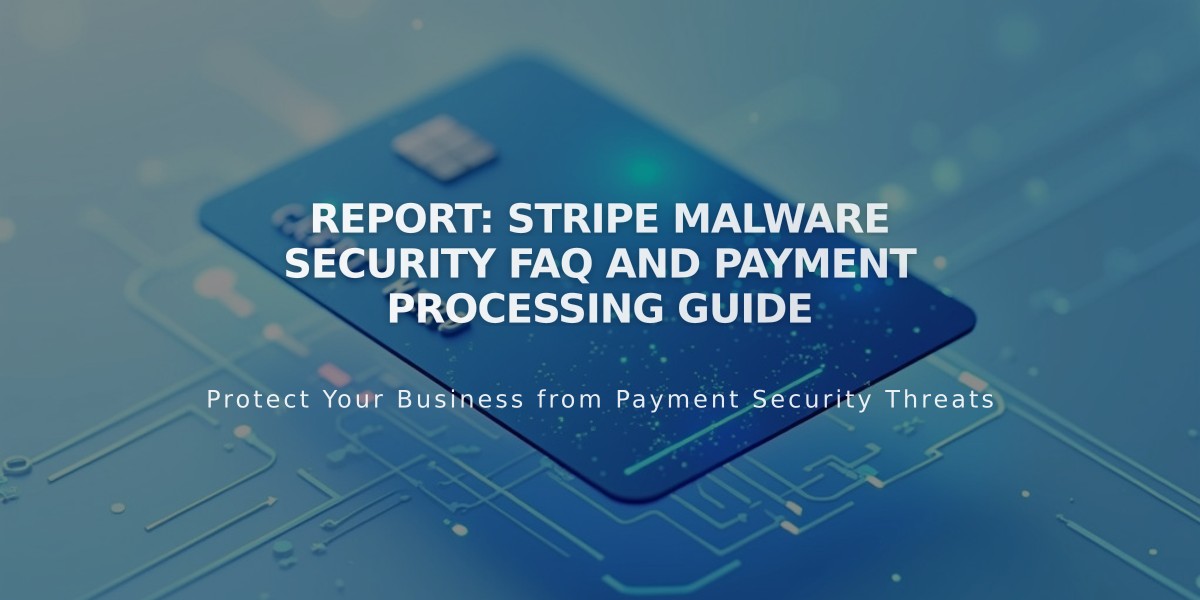 Report: Stripe Malware Security FAQ and Payment Processing Guide