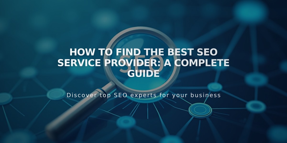 How to Find the Best SEO Service Provider: A Complete Guide