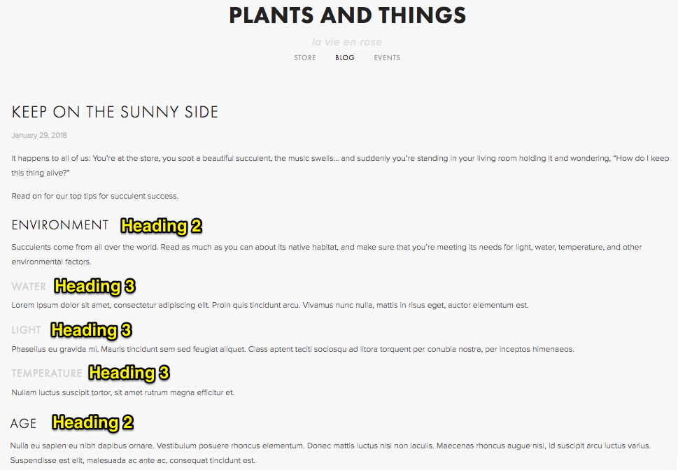 Plants and Things logo header