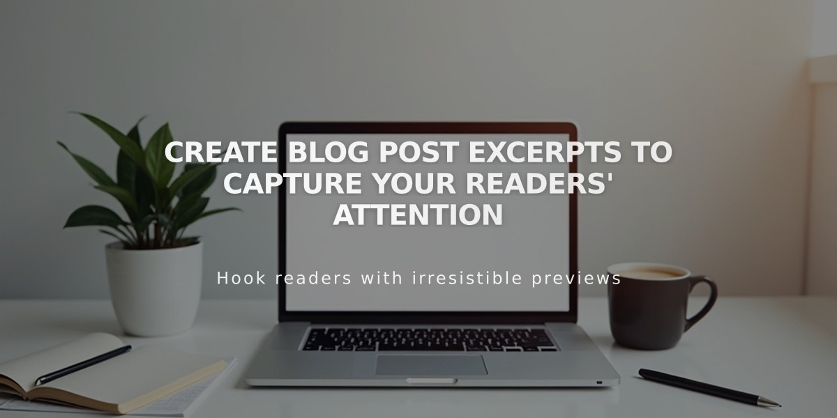 Create Blog Post Excerpts to Capture Your Readers' Attention