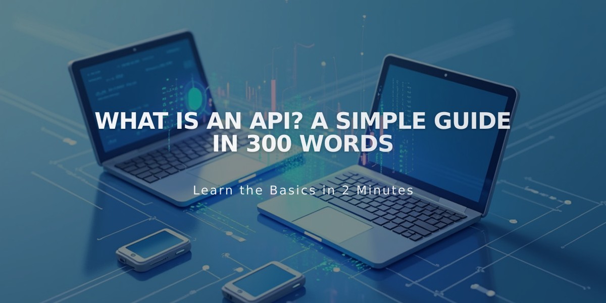 What Is an API? A Simple Guide in 300 Words