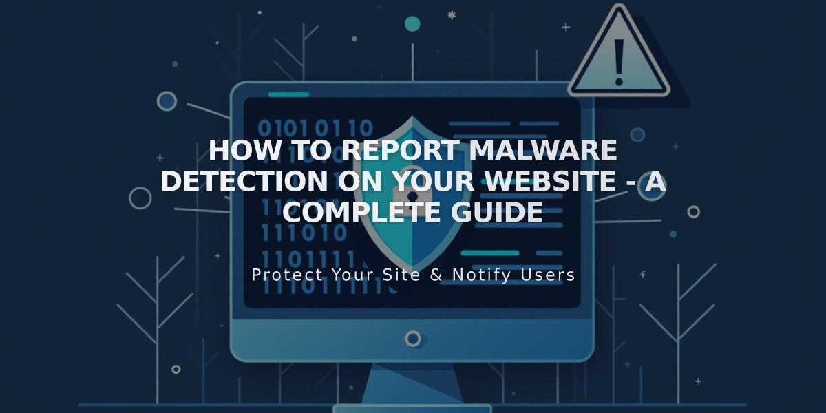 How to Report Malware Detection on Your Website - A Complete Guide