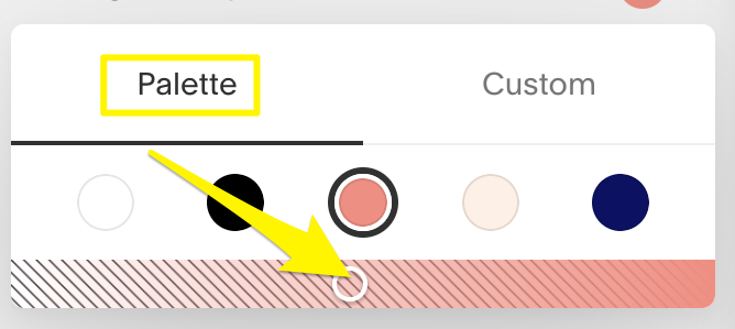 Squarespace color palette dropdown menu