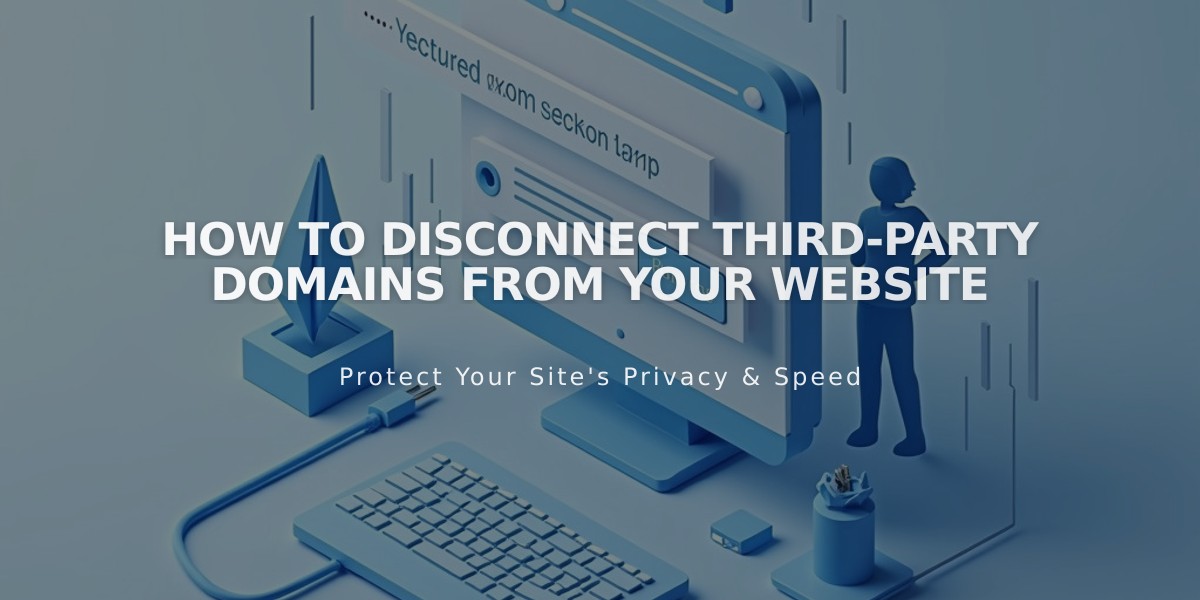 How to Disconnect Third-Party Domains from Your Website