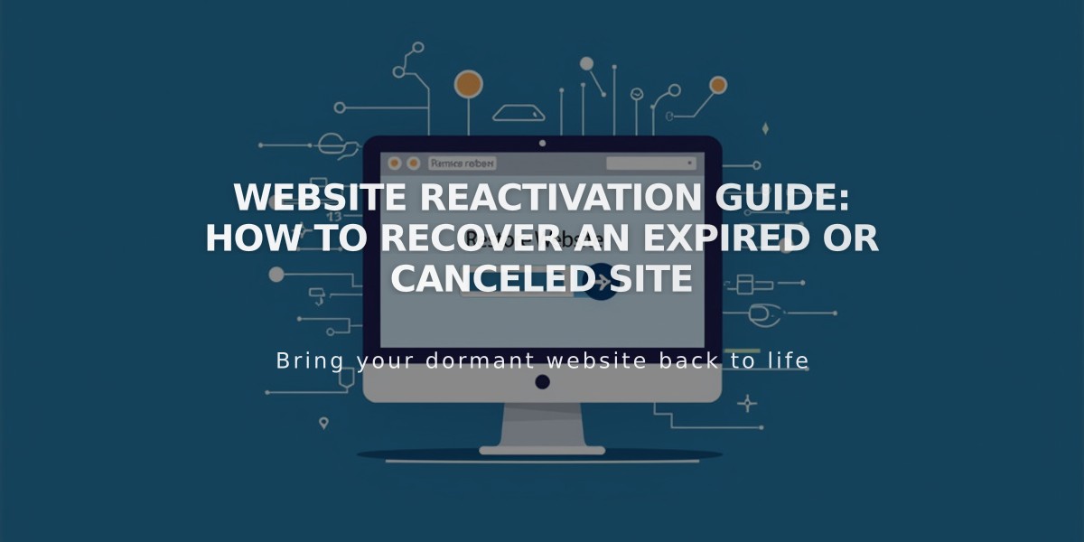 Website Reactivation Guide: How to Recover an Expired or Canceled Site