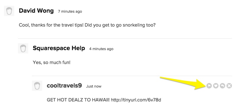 Squarespace comments section with notification icons