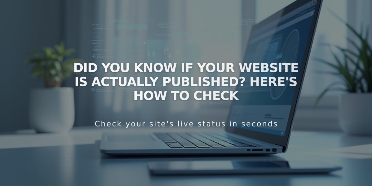 Did You Know If Your Website Is Actually Published? Here's How to Check