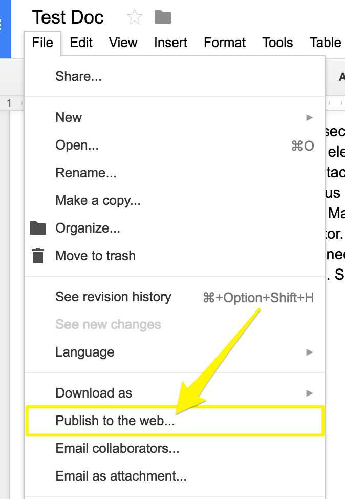 Google Docs screen in editing