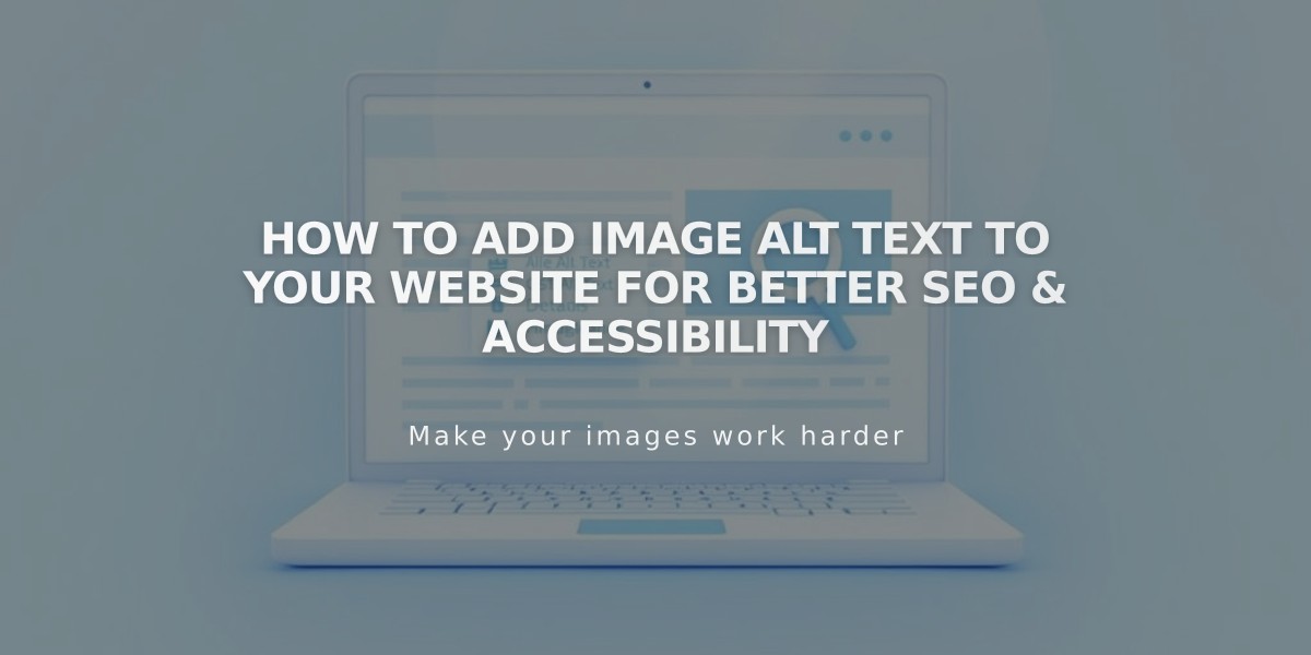 How to Add Image Alt Text to Your Website for Better SEO & Accessibility