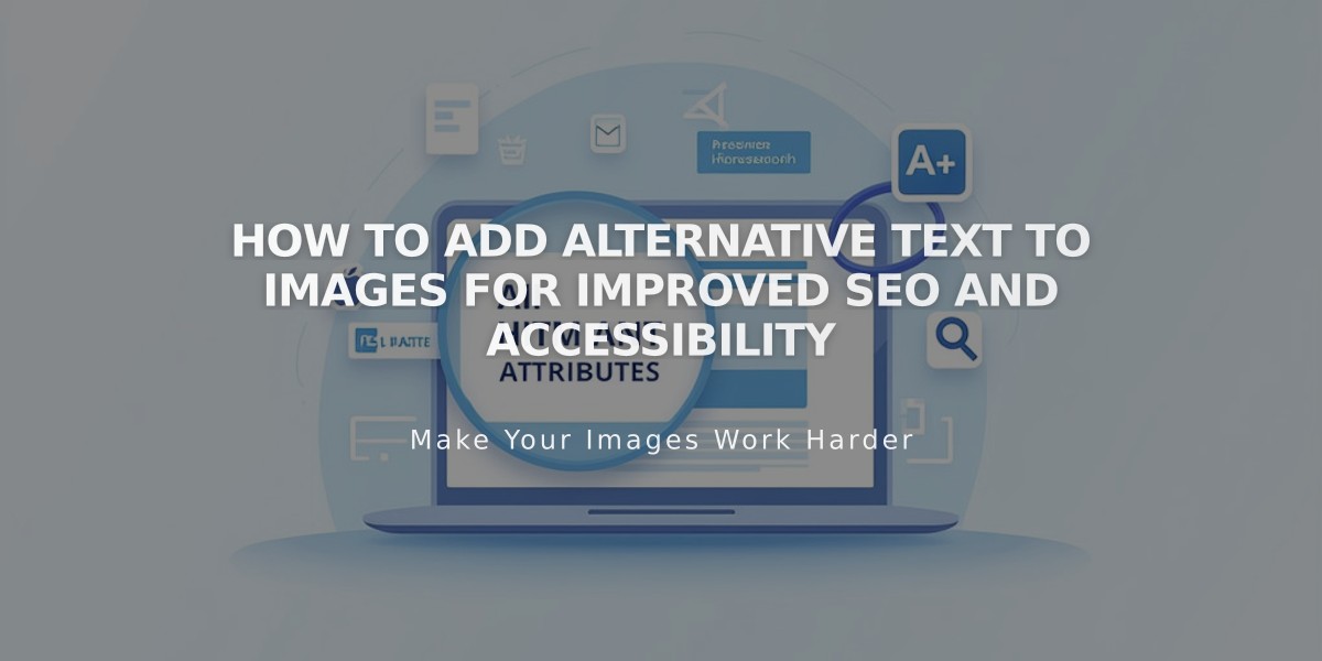 How to Add Alternative Text to Images for Improved SEO and Accessibility