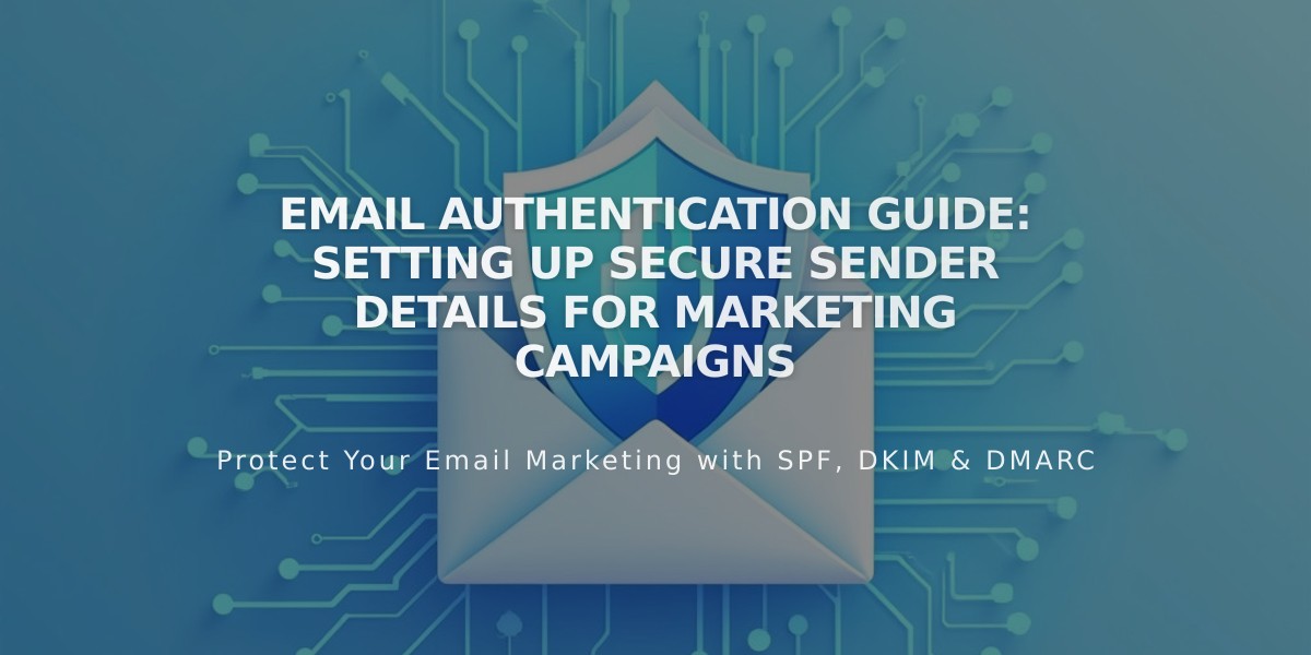 Email Authentication Guide: Setting Up Secure Sender Details for Marketing Campaigns