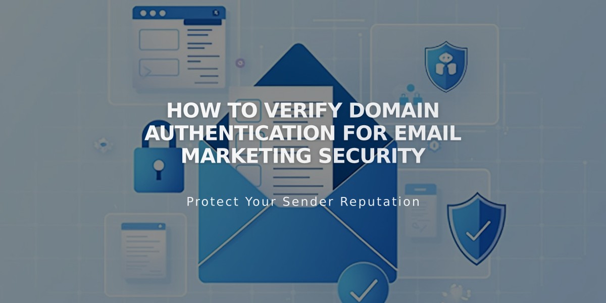 How to Verify Domain Authentication for Email Marketing Security