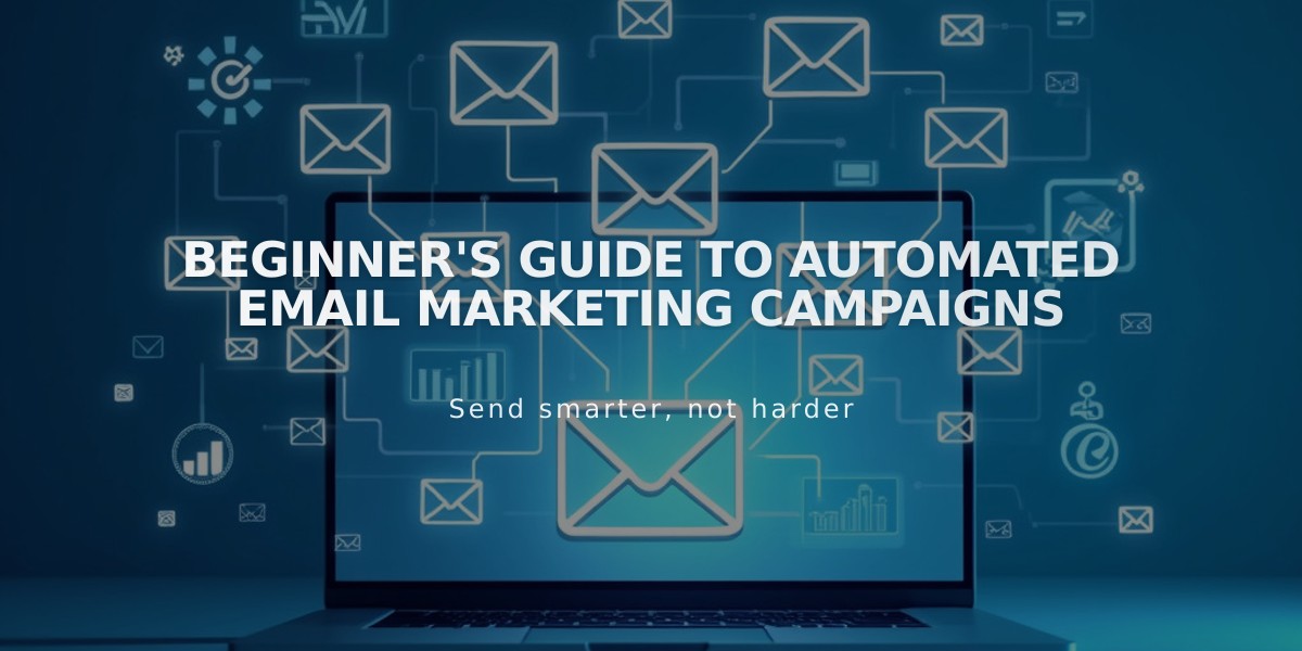 Beginner's Guide to Automated Email Marketing Campaigns