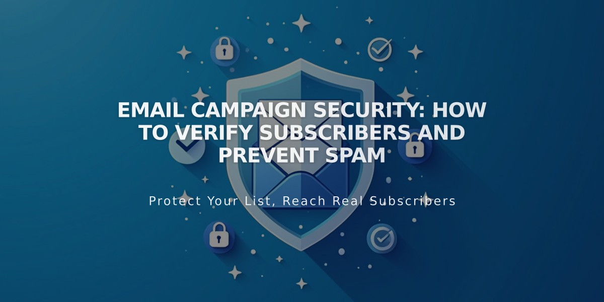 Email Campaign Security: How to Verify Subscribers and Prevent Spam