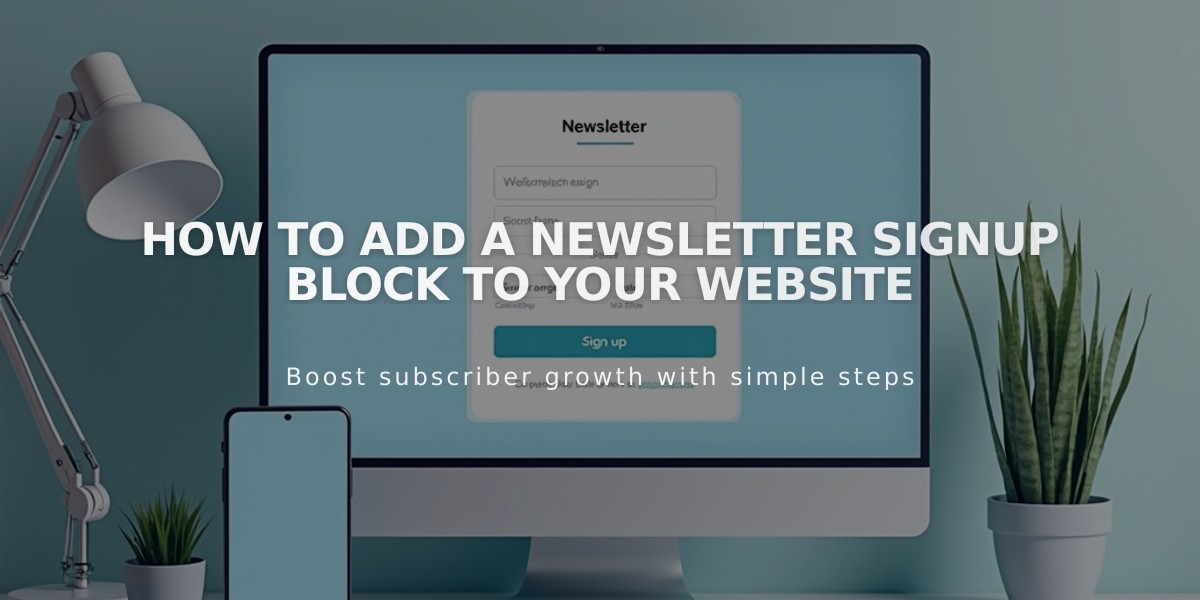 How to Add a Newsletter Signup Block to Your Website