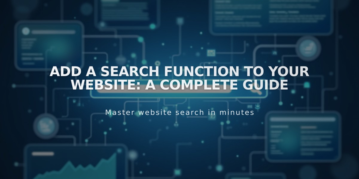 Add a Search Function to Your Website: A Complete Guide