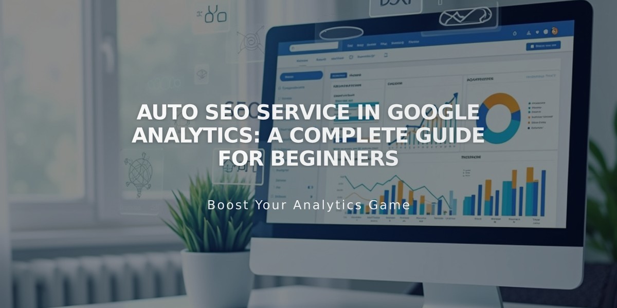 Auto SEO Service in Google Analytics: A Complete Guide for Beginners