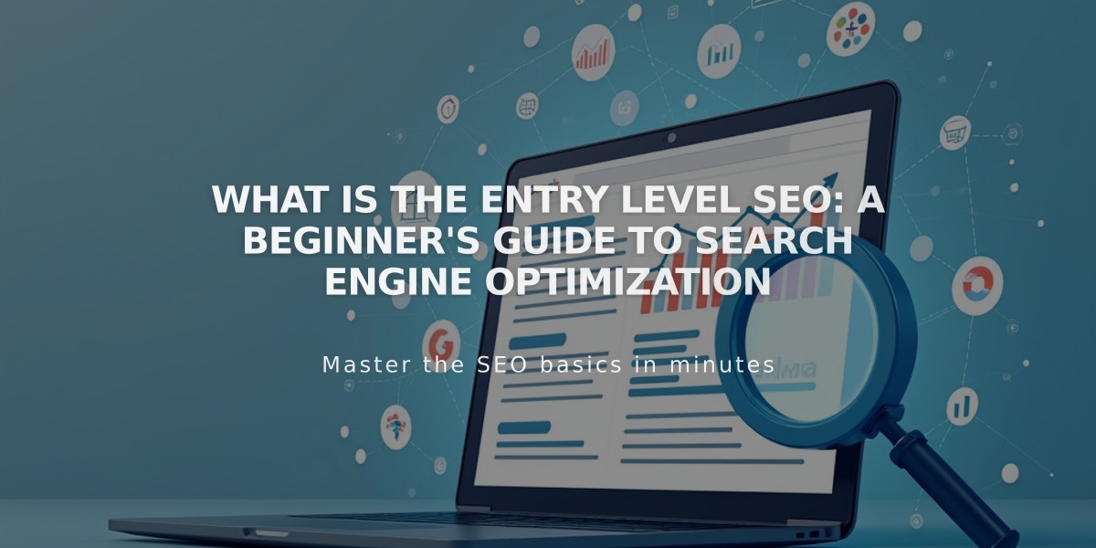 What is the Entry Level SEO: A Beginner's Guide to Search Engine Optimization