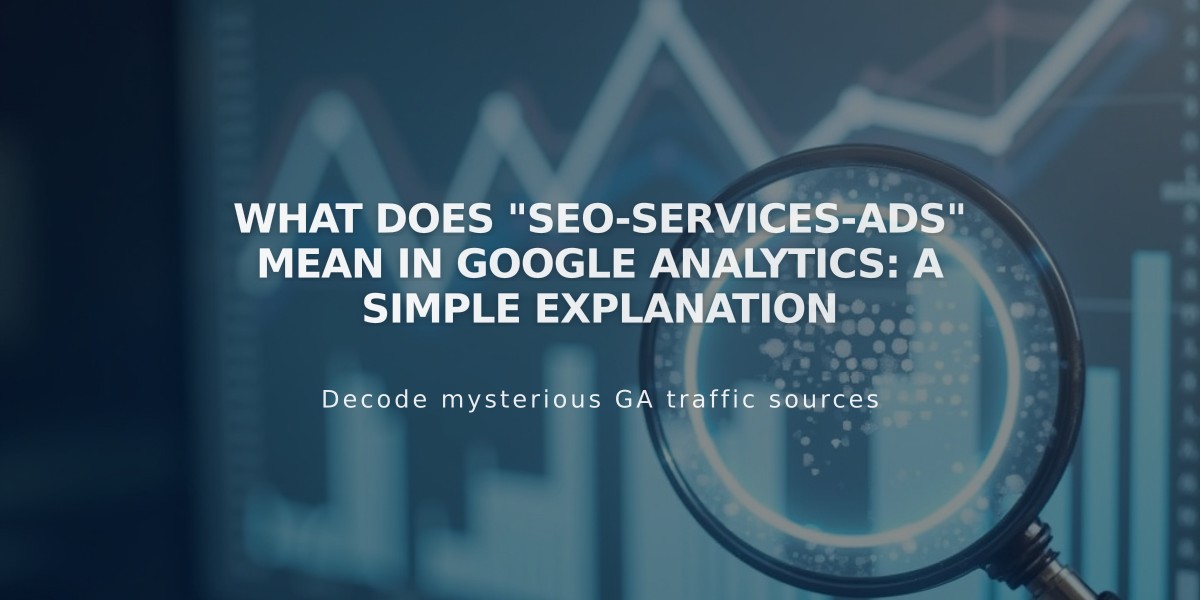 What Does "SEO-Services-Ads" Mean in Google Analytics: A Simple Explanation