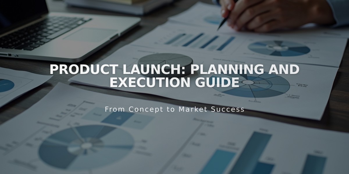 Product Launch: Planning and Execution Guide