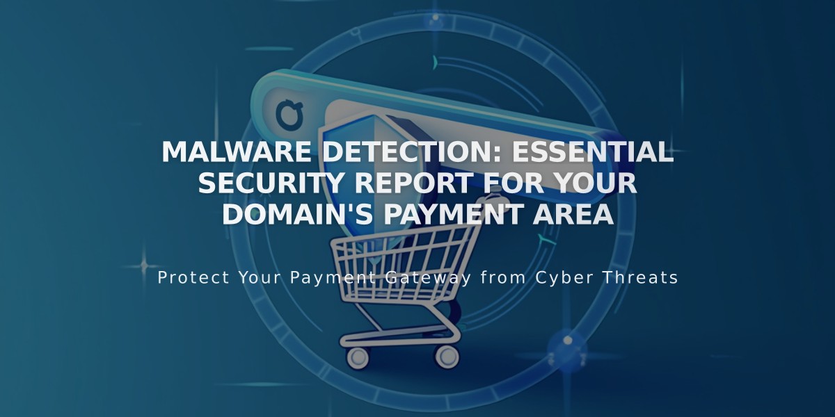 Malware Detection: Essential Security Report for Your Domain's Payment Area