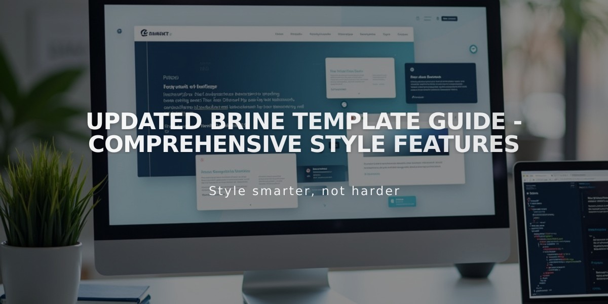 Updated Brine Template Guide - Comprehensive Style Features